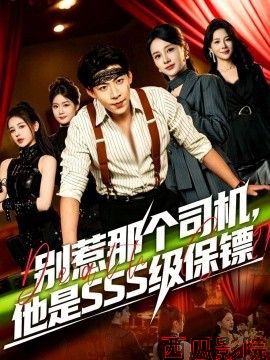 别惹那个司机，他是SSS级保镖
